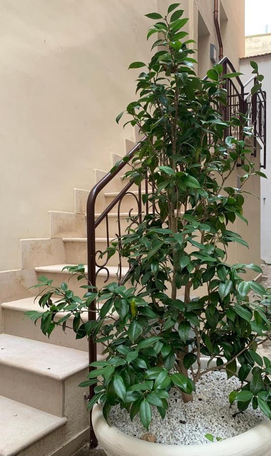 Appartamento Camelia Palo del Colle Extérieur photo